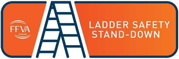 Ladder Safety Stand Down