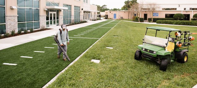 Landscaping