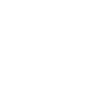 Next Steps
