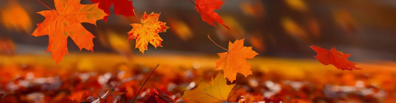 November Safety Topics for Workplace Training