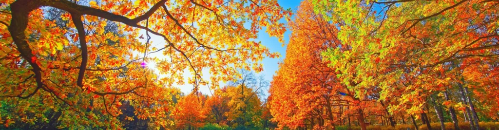 September Safety Topics
