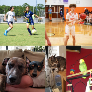 Ava and Alexander with fur babies Winnie, Plazer, Sylvester and Rico Solutionist Spotlight Amy Croeze Collage