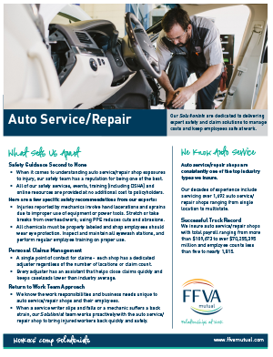 Auto Service and Repair Shops